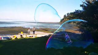 Pustefix Bubble Showcase
