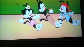 Gamings Wheel Of Morality Featuring The Animaniacs