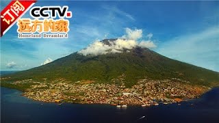 [Homeland Dreamland] 20170124 | CCTV-4