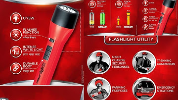 EVEREADY DL50 Torch (Red,black)