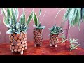 DIY Planters for Indoor/Outdoor Plants Using Recycled Materials & Plastic Bottles with Snake Plants