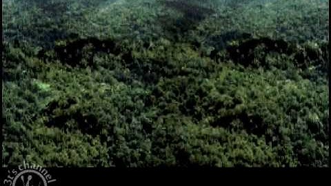 [Intro][Retro PC] Amazon Guardians of Eden