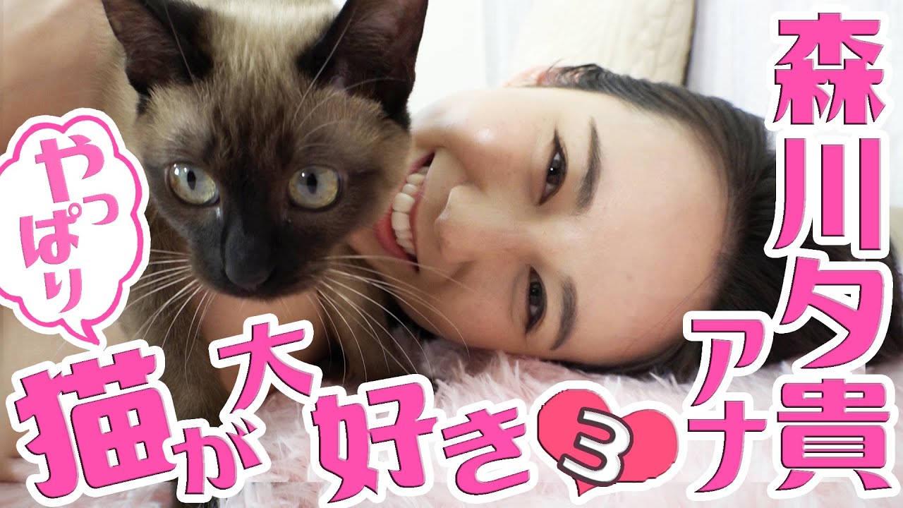 【森川夕貴アナ×猫ちゃん】オモチャ工作で“ガサツキャラ”発覚!?【やっぱり猫が大好き♡】