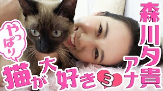 【森川夕貴アナ×猫ちゃん】オモチャ工作で“ガサツキャラ”発覚!?【やっぱり猫が大好き♡】