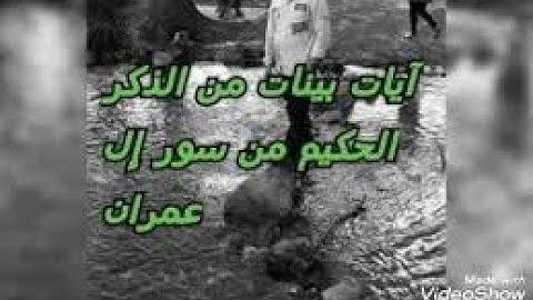 آيات بينات من سورة "آل عمران" للقارئ "اسلام صبحي" بجودة عالية ودون إعلانات