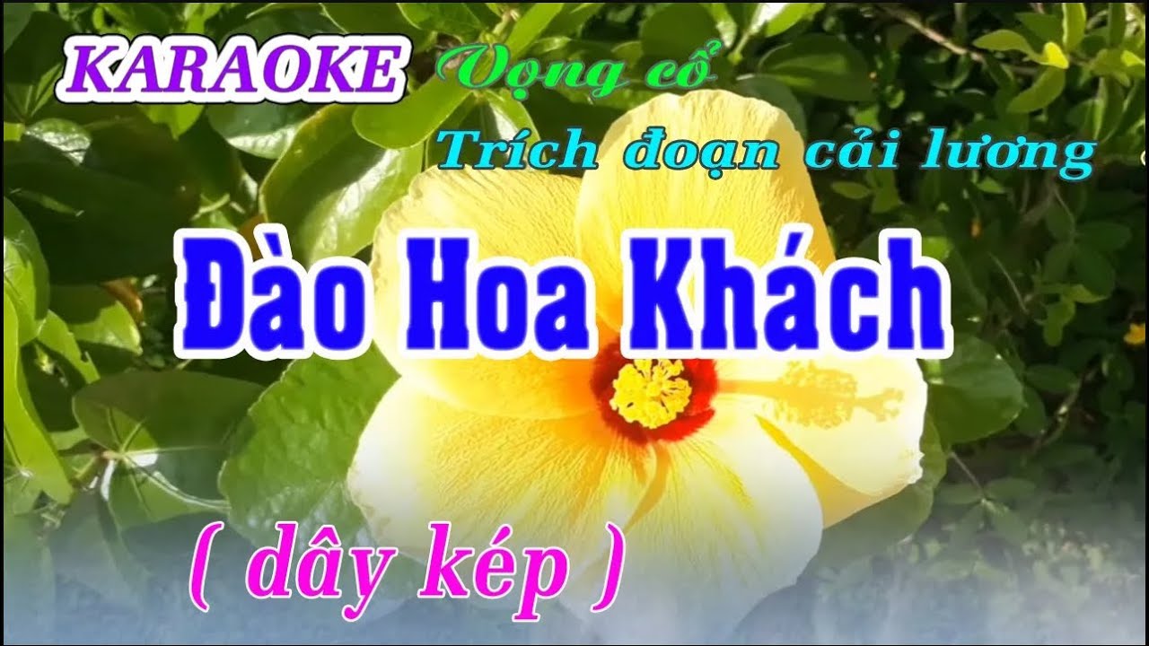 Karaoke  Đào Hoa Khách _ Văn thiên tường - VC Câu 4,6. dây kép