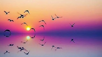 الثمن 7 من الحزب الأول من سورة البقرة الشيخ الدوكالي العالم برواية قالون