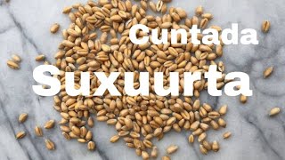Cuntada Ugu Fiican Suxuurta Cuntada Suxuurta