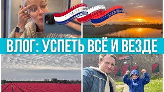 Влог на двоих.  Тюльпаны в Амстердаме, работа в Варшаве, конференция в Ереване.#pixelsoflife