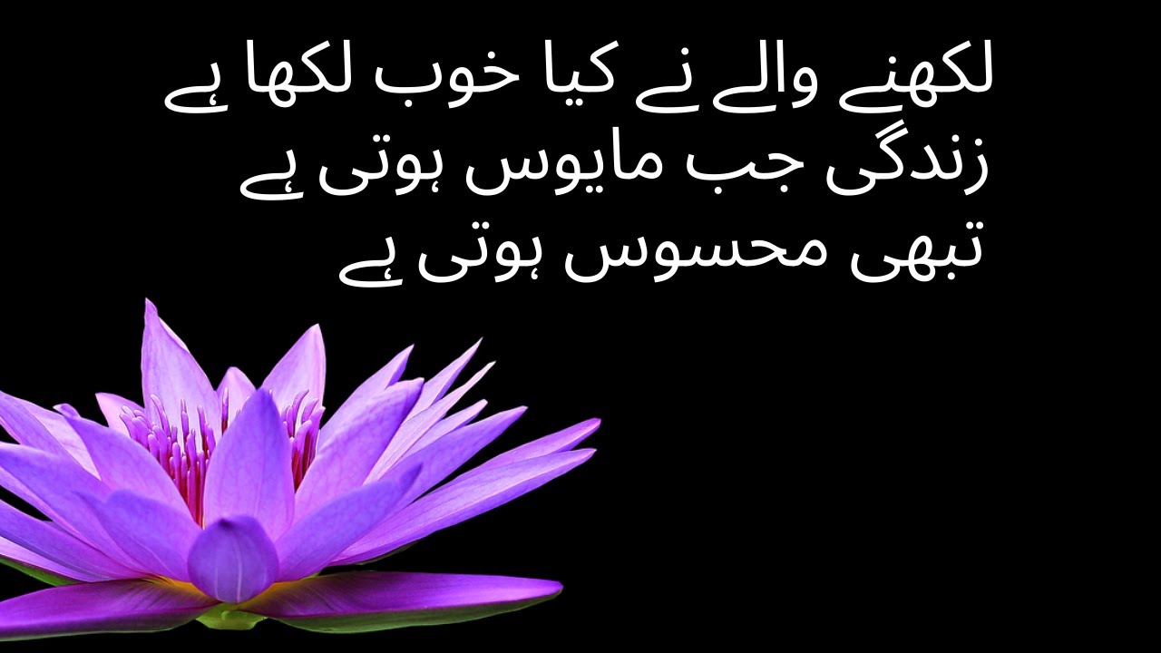 heart touching quotes in urdu | hindi quotes | aqwal e zareen