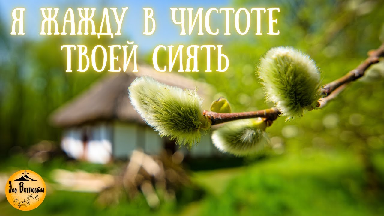 Я жажду в чистоте Твоей сиять | Христианская песня