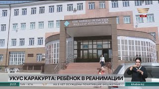 9-летний мальчик после укуса паука остался в реанимации