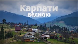 картинка: Карпати весною. Магура, Борсучина, Кичера. Ворохта, Верховина.