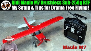 My Setup & Tips for Drama Free Flying | Qidi Maule M7 Brushless Sub-250g RTF Beginner Plane