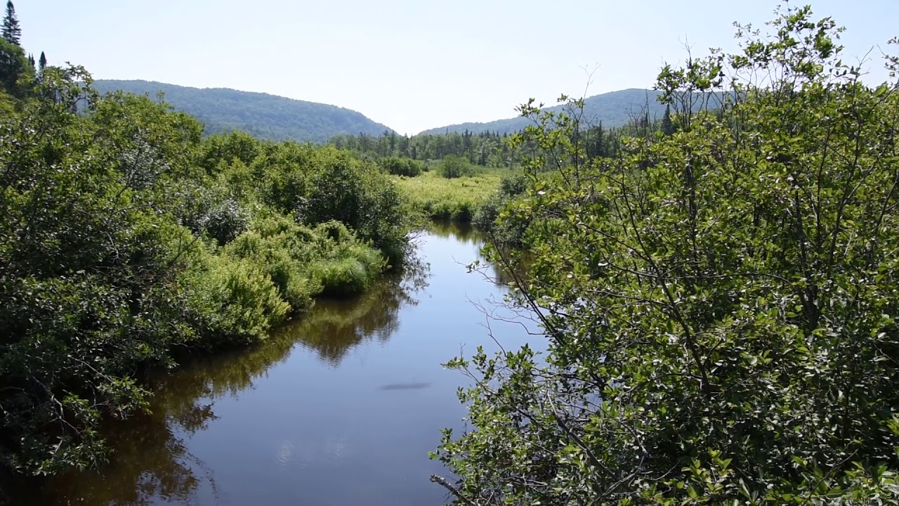 Belvidere Bogs Vermont YouTube