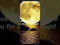 #night #prayer