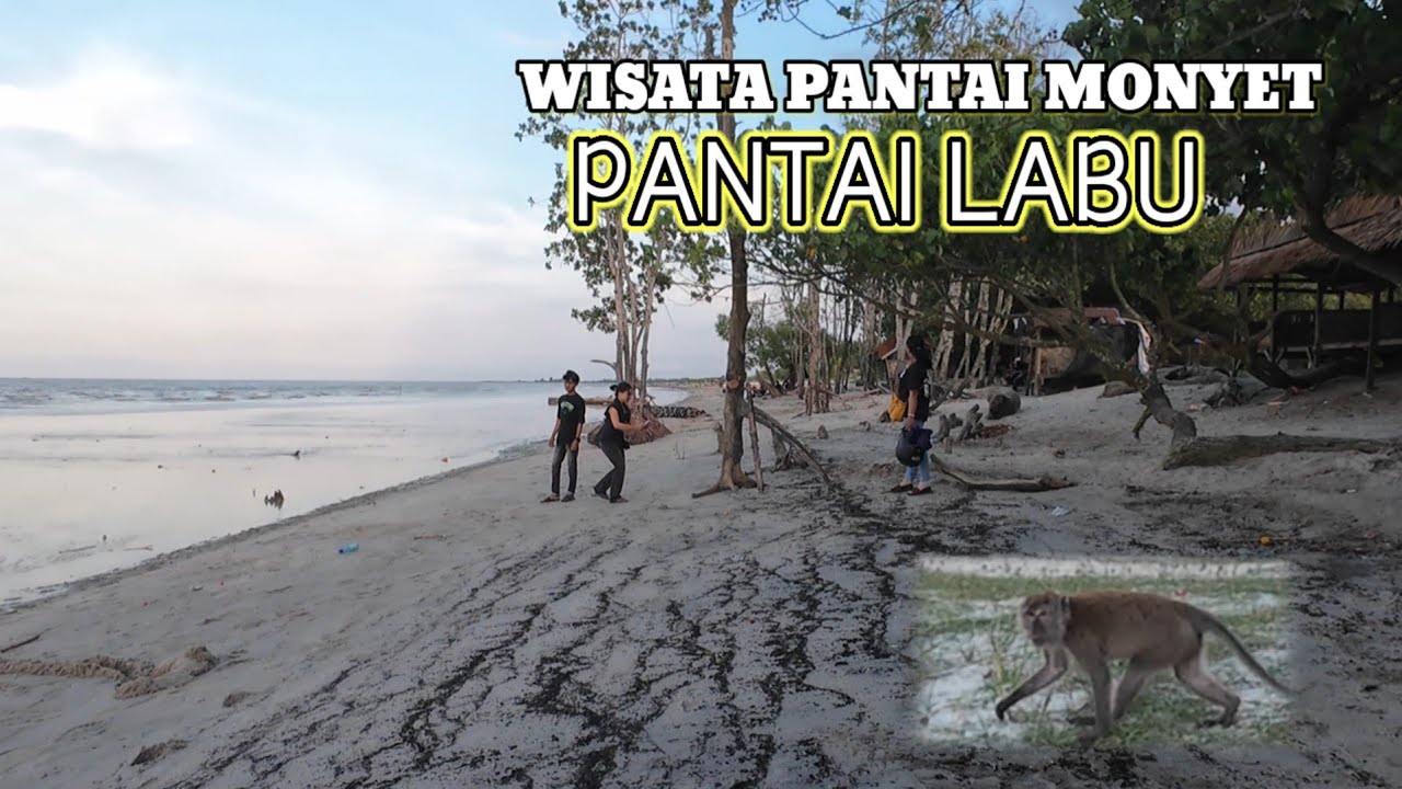 Rute jalan menuju wisata pantai monyet || Perjalanan panjang dan seru