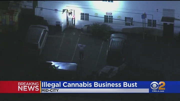 3 Arrested In Raid On Illegal Cannabis Operation In Mid-City