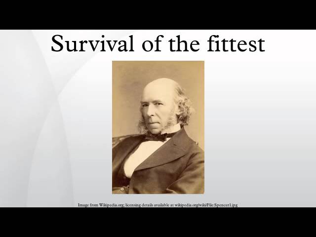 Survival of the Fittest  American Physiological Society