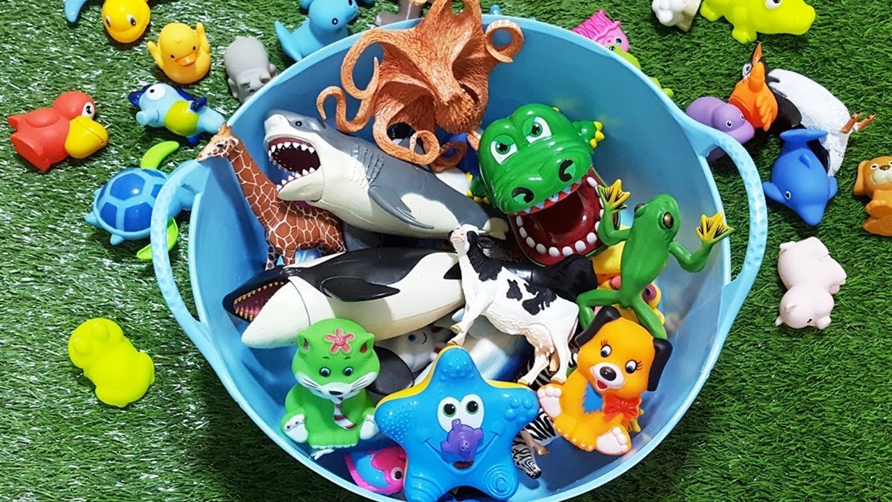 キッズ 海の生き物おもちゃ 名前言えるかな 海洋生物の名前を学ぼう Kids Sea Creature Toy Learn The Name Of Marine Life Youtube