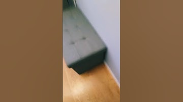 Day Three of making ugly Transitions.... #edit #fun #transition #shorts