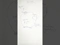 life cycle of algae # biology