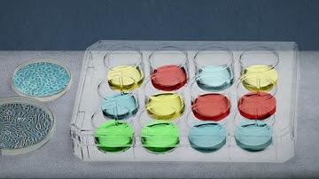 PROMISCES – an European research project and its results | Berliner Wasserbetriebe