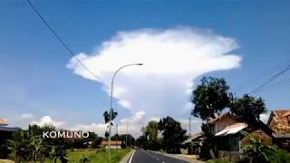 AWAN JAMUR Raksasa