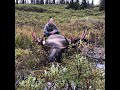 September 2020 Alaska Kenai Peninsula Moose hunt - non-mechanized hike in (once on Federal land).