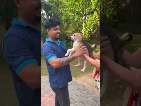 СПАСЛА ГОЛОДНЫХ ЩЕНОЧКОВ🐶