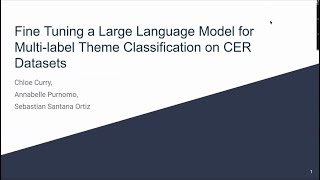DSSG 2023 | Fine-Tuning a Large Language Model for Multi-label Theme Classification on CER Datasets