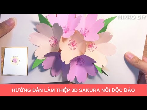 Hướng dẫn làm thiệp handmade 3d, sakura, đơn giản độc đáo