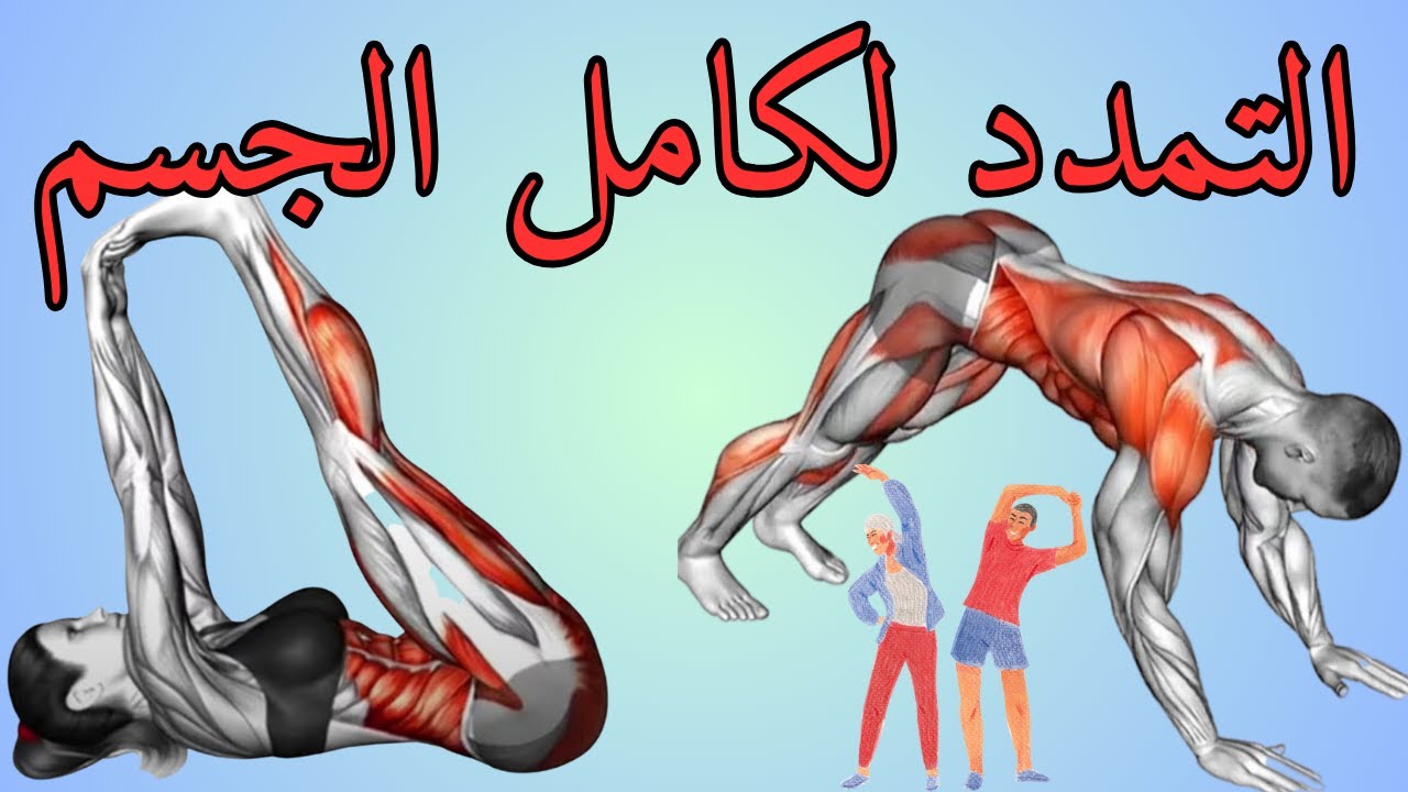 تمارين التمدد لأي عمر | كل يوم ولن تندم| - YouTube