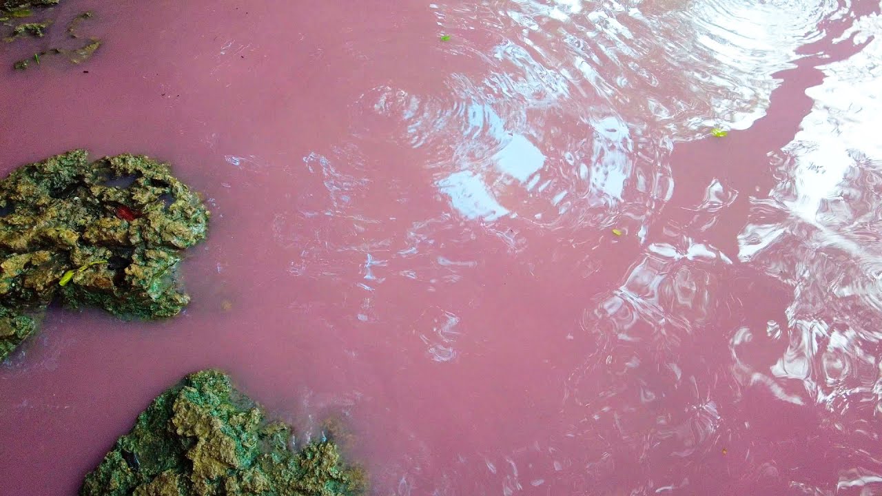 Isinuka Mud Caves And Sulphur Pools Pink Water In Port St Johns Isinuka Mud Caves And Sulphur Pools Pink Water In Port St Johns