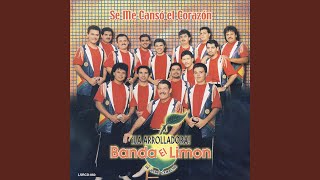 Video thumbnail of "La Arrolladora Banda El Limón de René Camacho - La Mal Pagadora"