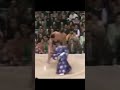 力士 rikishi  舞の海 mainoumi ! #sumo #wrestling