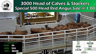 11/1/2022 -  OKC West Calf and Stocker Auction