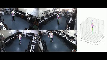 3D skeleton reconstruction for gesture recognition