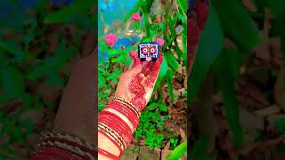 Jay shree jagannath mahaprabhu#painting on#watch cap#re mo prabhu art by me 💞