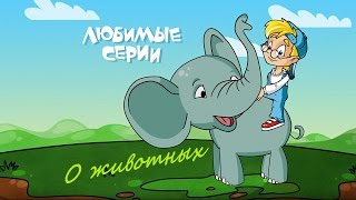 Любимые серии О ЖИВОТНЫХ - Сборник Любимые серии О ЖИВОТНЫХ - Сборник