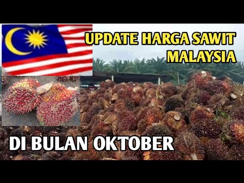 UPDATE HARGA SAWIT DI MALAYSIA BULAN OKTOBER 2022 @Masaliagro UPDATE HARGA SAWIT DI MALAYSIA BULAN OKTOBER 2022 @Masaliagro