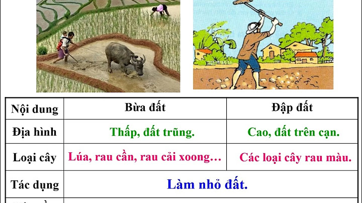 Bón lót là gì công nghệ 7