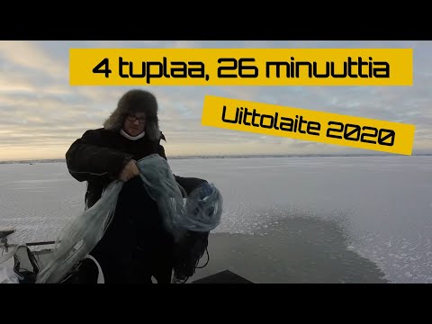Verkot jään alle