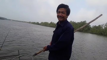 #Cabonglau #Caucabonglau | Tập 26 | Câu Cá Bông Lau ở Sài Gòn