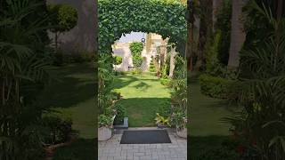 Garden video #garden #gardens 🌺🪴🏡
