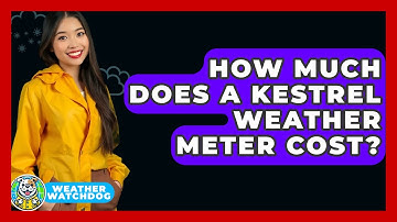 How Much Does A Kestrel Weather Meter Cost? - Weather Watchdog