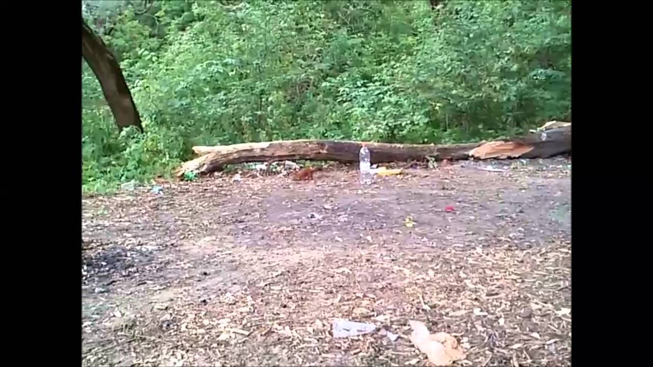 речка харьков Белочка