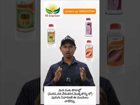 మన #పంట పొలాల్లో (#మిరప,#వరి,#వేరుశనగ,#మొక్కజొన్న లో) #పురుగు #నివారణకి ఈ #మందులు వాడొచ్చు.