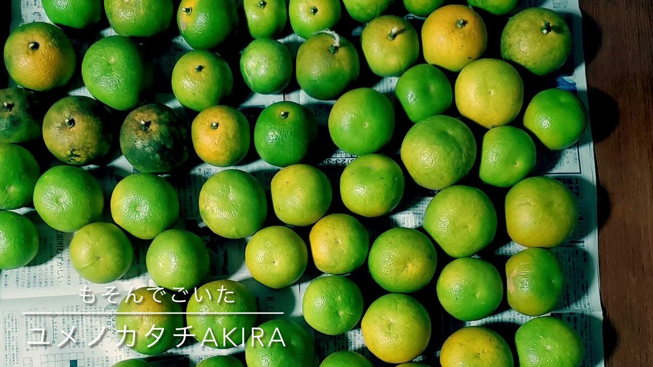 出雲BEAT:出雲弁ソング『もそんでごいた』　（県外の孫が出雲に帰省した時の歌）