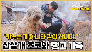 [풀버전] 역대급 비주얼 삽살개 가족!  “키우는 게 아니라 같이 삽니다.” 탱고 같은 인생을 사는 부부와 견공들  | 동물극장 단짝 EP48 | KBS 230128 방송